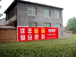 麻城如何让墙体广告展现最大化效果