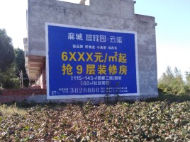 麻城品牌公司青睐的墙体广告
