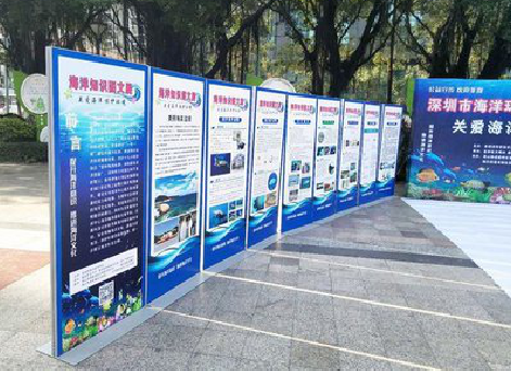 麻城KT板的种类和知识。